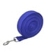 thumbnail image 1 of Xiao Hua Cuerda para Perro de Nailon Duradera, 15 Pies de Largo, Adecuada para Pasear y Entrenar Perros de Tamaño Mediano a Grande, Azul, 1 Pieza., 1 of 4