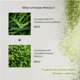 thumbnail image 4 of Pandan Matcha en polvo BIONUTRICIA EXTRACT 200 g sin azúcar, 4 of 9