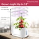 thumbnail image 5 of Kit de sistema de cultivo hidropónico Hydroponics Growing System Awesome Plant 6Pro de 6 cápsulas, 5 of 9