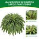 thumbnail image 3 of Plantas artificiales de helechos artificiales Galebeiren, 50 plantas grandes con 98 hojas, 3 of 8