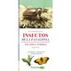 thumbnail image 1 of Libro guía de identicación de insectos de la patagonia, 1 of 2