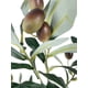 thumbnail image 3 of Rama De Olivo 74cm, 3 of 3