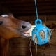 thumbnail image 2 of Juguete Horsemen's Pride Jolly Hay Ball, 20 cm, azul, 2 of 4
