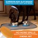 thumbnail image 5 of Juego de 2 tazones para perro Master Pet Supply 950 ml Mango Tango, 5 of 9