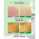 thumbnail image 3 of Sérum WELLAGE Real Cica Calming Trouble Ampoule 50 mL, 3 of 7