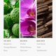 thumbnail image 4 of Aceite esencial Aroma360 Wicked Game, fragancia de 50 ml, 4 of 7