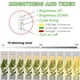 thumbnail image 3 of Grow Light Yadoker Plant Plant LED de espectro completo para plantas de interior, 3 of 6