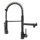 thumbnail image 1 of Grifo de cocina AIMADI negro con pulverizador de 2 funciones de acero inoxidable, 1 of 7