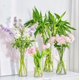 thumbnail image 2 of suxuMhao Florero de Plástico Transparente, Paquete de 1 Florero Irrompible, Jarrones Acrílicos Floreros de Plástico Irrompibles, Botella de Almacenamiento Cilíndrica de 4 X 11.8 IN para Decoración, 2 of 4
