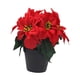 thumbnail image 3 of Flores De Nochebuena Artificiales Para Decoración De Interiores Y Exteriores: Chimeneas, Porches Y Hogar., 3 of 5