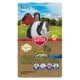 thumbnail image 1 of Alimento para cobayas Kaytee Timothy Complete, 2,27 kg, 1 of 7