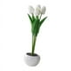 thumbnail image 2 of Flores Artificiales De Tulipanes Creativos Con Luz LED Para Adorno De Aniversario Blanco, 2 of 5