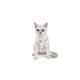 thumbnail image 1 of Body Post Operatorio para Gatos Diseños Variados Talla L, 1 of 2