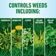 thumbnail image 5 of Herbicida Roundup para césped, listo para usar con varilla extensible de 5 litros, 5 of 9