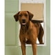 thumbnail image 2 of Puerta perro Extra Grande PetSafe, 2 of 5
