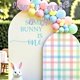 thumbnail image 3 of Bandera Sherkarmiu “Some Bunny Is One” morada, 3 of 7