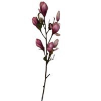 Corel - Magnolia Bud Stem Hot Pink 84Cm Con Acabado Natural