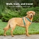 thumbnail image 2 of Arnés para perros PetSafe 3 en 1 sin tirones para perros pequeños, color verde azulado XS, 2 of 8