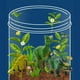 thumbnail image 4 of Kit Terrario Dinosaurios DIY Juguete Educativo con Luces, 4 of 5