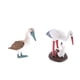thumbnail image 3 of Figuras De Acción Modelo Animal Realista Juguete Para Ni?os Sula Nebouxii Y Grulla Blanca, 3 of 5