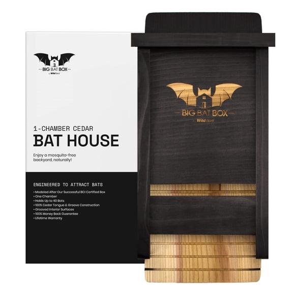 Bat Box WildYard de una cámara de acero inoxidable negro