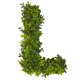 thumbnail image 3 of Decoración de pared artificial Nearly Natural LOVE de boj, 3 of 9