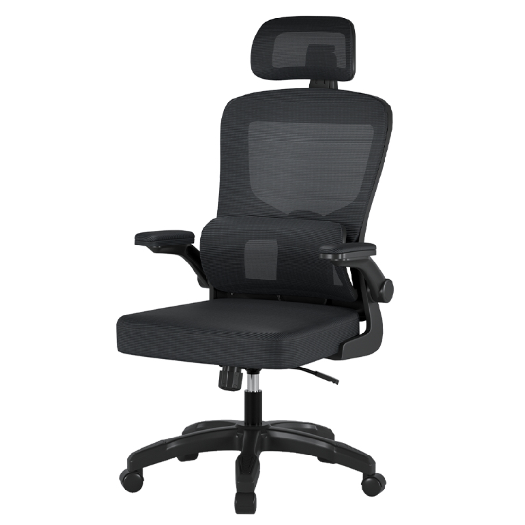 Crusec - Silla Escritorio Homework Ergonómica Reposo Lumbar Cintura