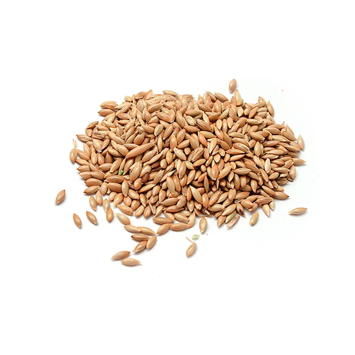 Alimento para Aves Semillas de Alpiste 500 Gr