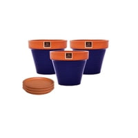 Mestiza - Set De 3 Maceta Kony 15Cm Terra Cobalto Y Sus Platos