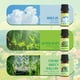 thumbnail image 3 of Aceite Esencial Soulorigin Primavera Set 6x10ml Aromas Frescos, 3 of 3