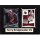thumbnail image 1 of Placa C&I Collectables de los Louisville Cardinals de la NCAA, Teddy Bridgewater, 1 of 1