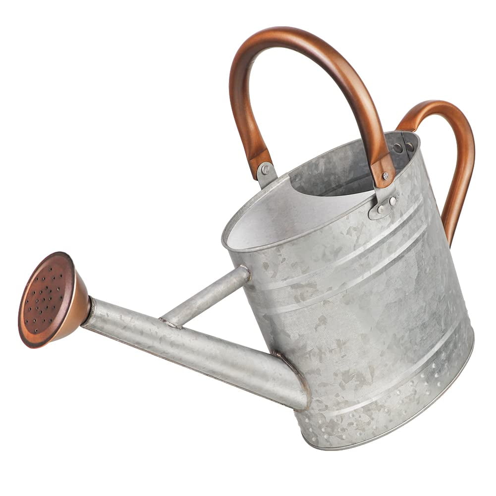 Regadera Megawodar 4l De Acero Galvanizado Para Interiores Y Exteriores