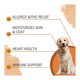 thumbnail image 4 of Nutridog Pet Skin + Coat Cuidado Piel Pelaje Perros 120 Chew, 4 of 7
