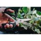 thumbnail image 4 of Tijeras multiusos Kershaw Taskmaster con hojas de 8,9 cm, 4 of 4