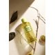 thumbnail image 1 of Perfume Mast Rome Fantasmagory Eau de Parfum, 100 ml, unisex, 1 of 4