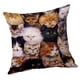 thumbnail image 3 of Funda De Cojín Con Estampado De Animales Para Sofá, Coche, Gato, 60x60cm, 3 of 5