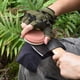 thumbnail image 3 of Herramienta afiladora de hachas NedFoss de doble grano con funda de cuero, 3 of 7