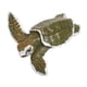 thumbnail image 1 of Figura Kemp's Ridley Sea Turtle Baby de Safari Ltd., 13 cm, 1 of 5