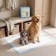 thumbnail image 5 of 100 Pañales Sabanillas Mascotas Perros 45x60 Cm Calidad Stantard Absorvente Homer Design Celeste, 5 of 8