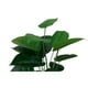 thumbnail image 2 of Planta Artificial Decorativa Interior 75 cm de Alto, 2 of 4