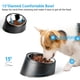 thumbnail image 4 of Comedero inclinado de acero inoxidable Uppetly de 15° y 250 ml, 4 of 7