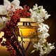 thumbnail image 2 of Perfume Dolce & Gabbana The One Intense Eau de Parfum 75 ml, 2 of 5