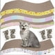 thumbnail image 5 of Rascador Gatos Cartón Corrugado + Sobre Catnip Hierba Gatera, 5 of 7