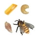 thumbnail image 2 of Figuras Del Ciclo De Crecimiento Animal, Accesorios De Ense?anza Para Ni?os Y Ni?as, Abeja De Aprendizaje Preescolar, 8x3cm, 2 of 5