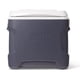 thumbnail image 1 of Refrigerador eléctrico portátil Igloo 12V 24L Caliente/Frío 36F, 1 of 5