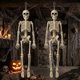 thumbnail image 1 of Figurín Jiesiity 41 cm Esqueleto de Halloween – Pack de 2, 1 of 9