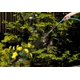thumbnail image 3 of Manguera de jardín Teknor Apex NeverKink 2000, 1,6 cm x 15 m, color verde, 3 of 8
