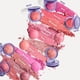 thumbnail image 5 of Colorete Kosas Blush is Life sin Talco con Escualano y Ácido Hialurónico, 5 of 8