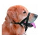 thumbnail image 1 of Cabestro Nylon Anti-pull Negro Perro Talla Xs, 1 of 1