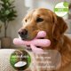 thumbnail image 2 of Juguete de masticar para perro MewaJump cactus de goma – para masticadores agresivos, 2 of 8